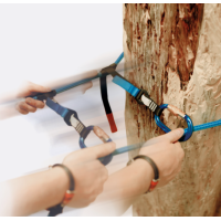 FTC TREE - Straplink