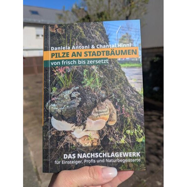 Daniela Antoni - Das Buch Pilze an Stadtbäumen
