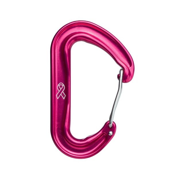 DMM - Hilfskarabiner Wisp Pink