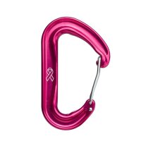 DMM - Hilfskarabiner Wisp Pink