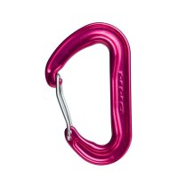 DMM - Hilfskarabiner Wisp Pink